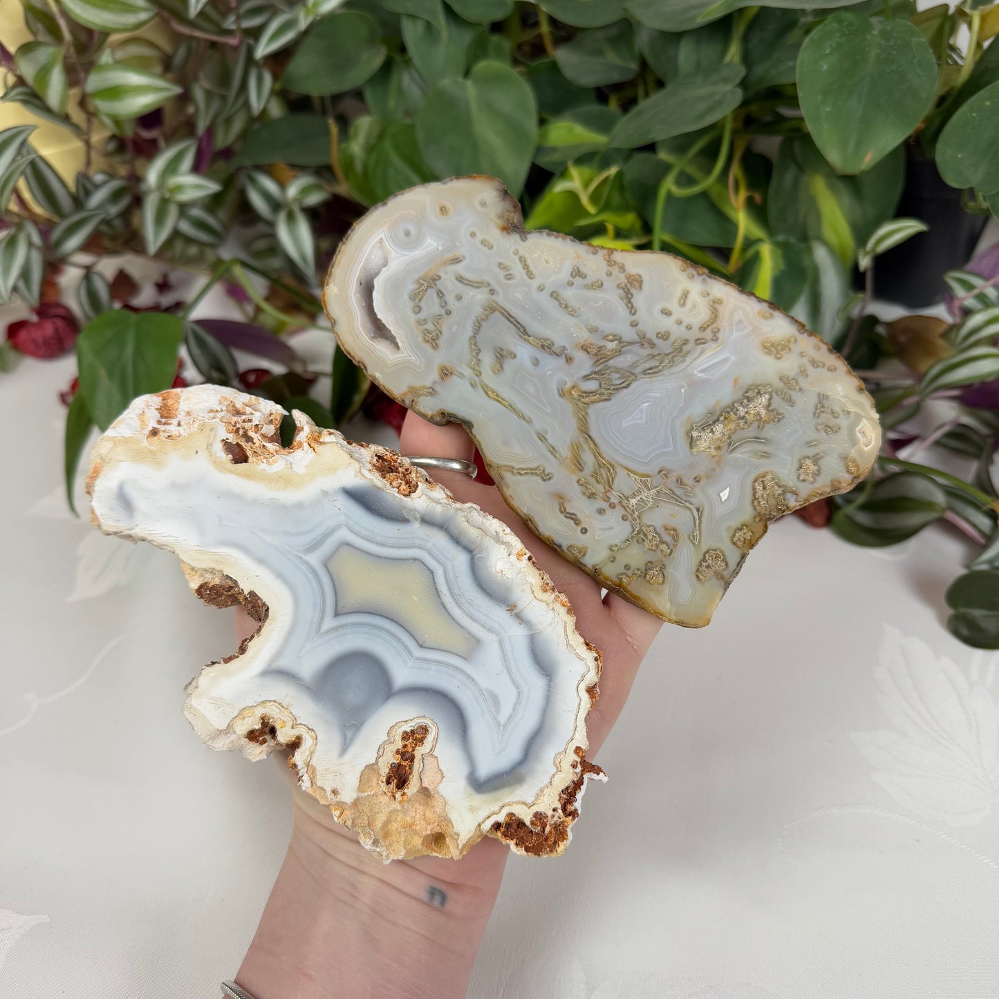 Intuitively Picked Agate Slab