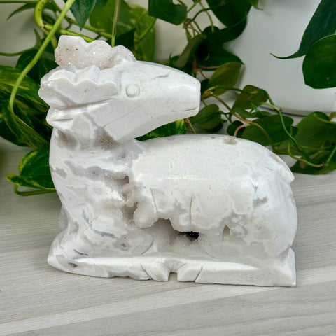 Druzy Snow Agate Deer