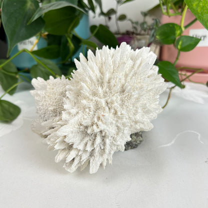 Mordenite w/ Stilbite Specimen
