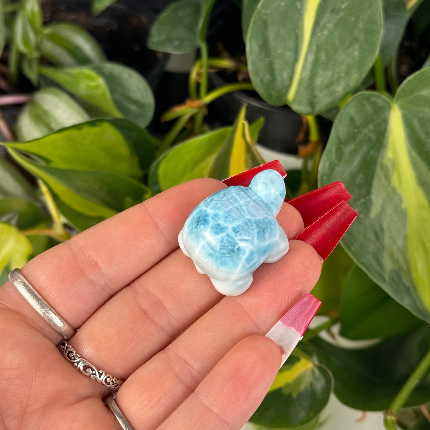 Mini Larimar Turtle