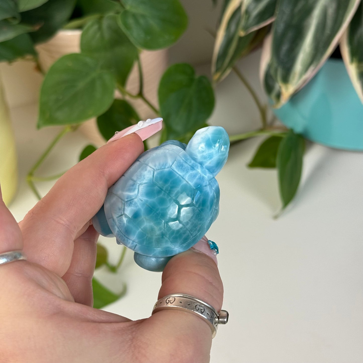 Large Larimar Turtle - E