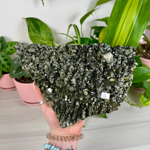 Black Epidote & Chlorite Quartz Specimen (Forest Quartz)