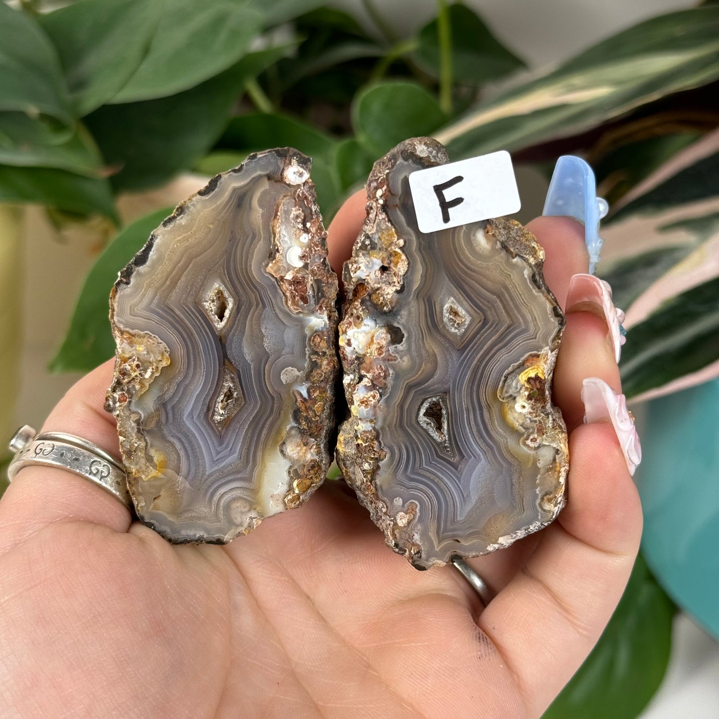 Laguna Agate Pair