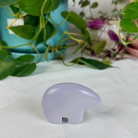 Lavender Fluorite Bear
