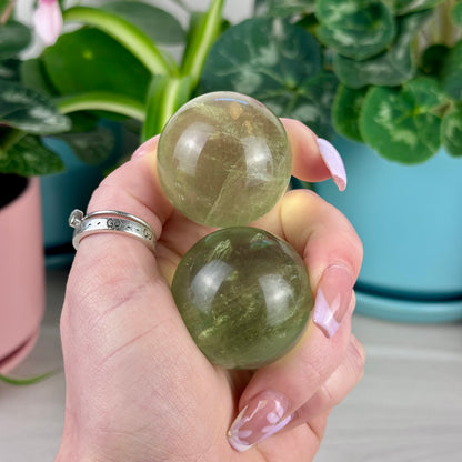 Green Grape Fluorite Sphere