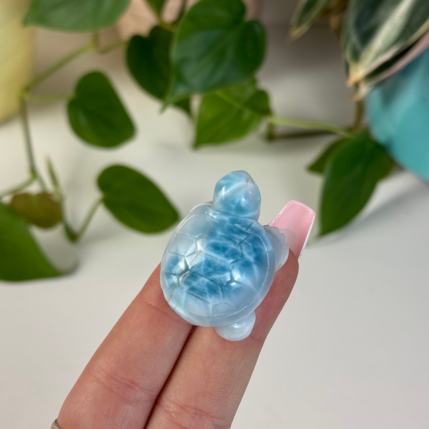 Medium Larimar Turtle