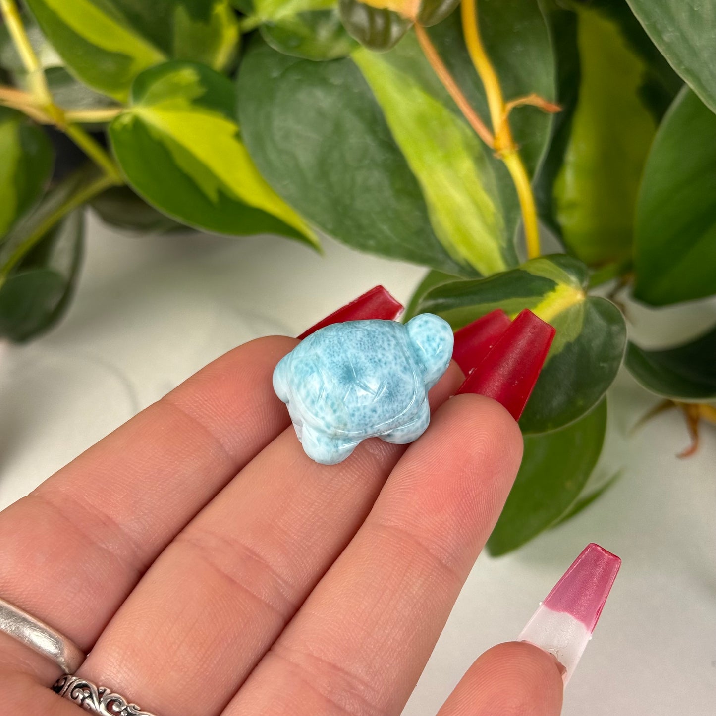 Mini Larimar Turtle