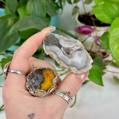Laguna Agate
