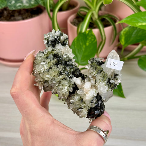 Black Epidote & Chlorite Quartz Specimen (Forest Quartz)