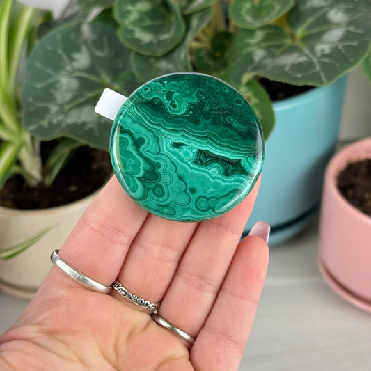 Malachite Cookie - O1