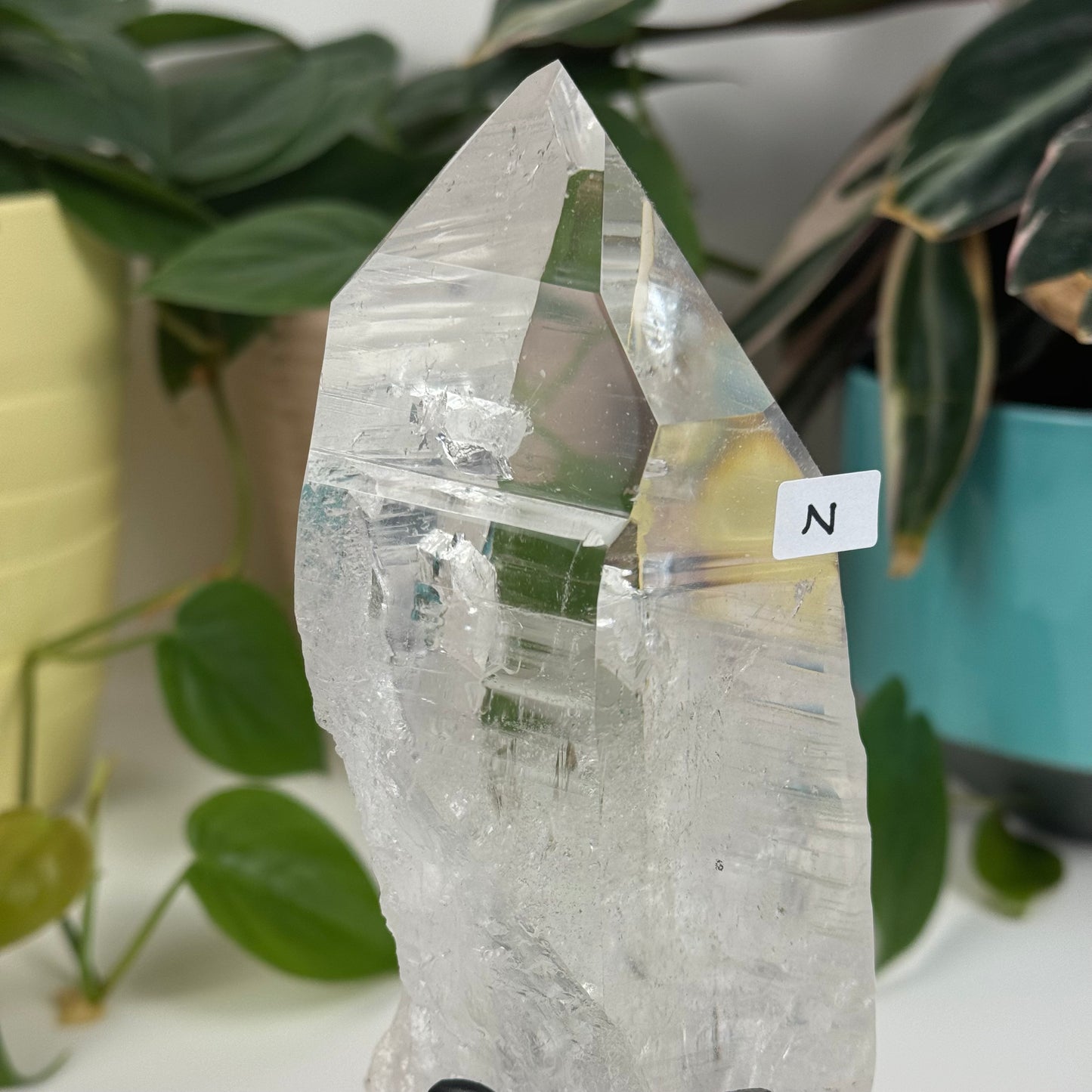 Incredible Lemurian Quartz (W/ Custom Stand) - N