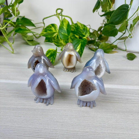 Druzy Agate Penguin