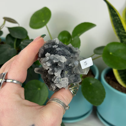 Black Chalcedony with Glossy Apophyllite