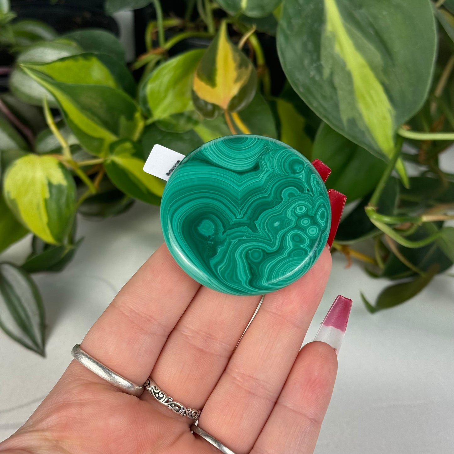 Mini Malachite Cookie