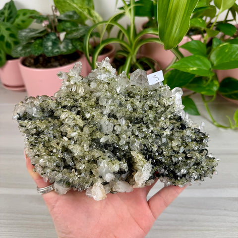Black Epidote & Chlorite Quartz Specimen (Forest Quartz)
