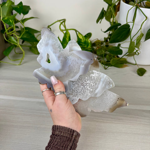 Mystery Druzy Agate Butterfly