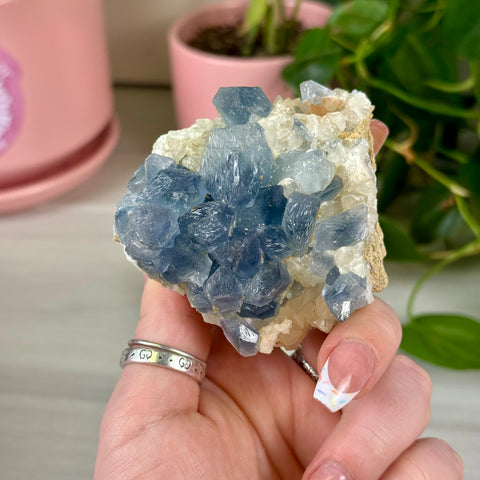 Celestite With Calcite Specimen