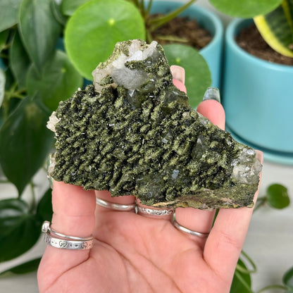 Forest Quartz