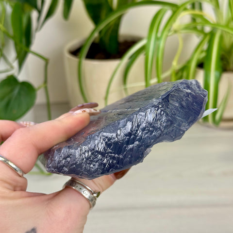 Bicolour Kunzite