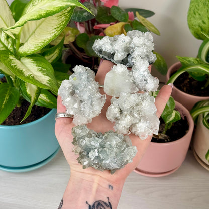 Diamond Apophyllite