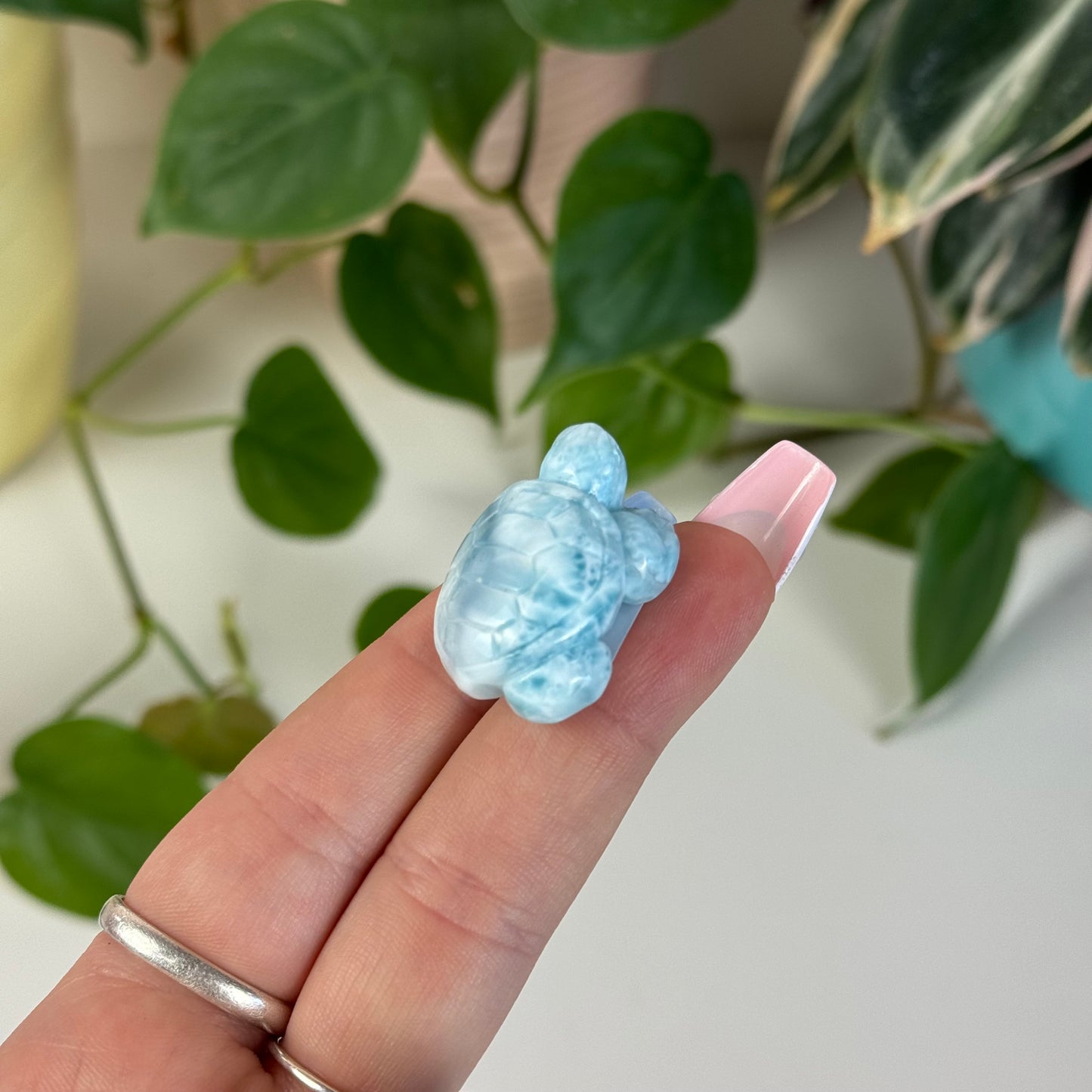 Small Larimar Turtle