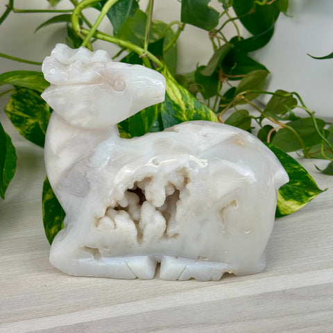 Druzy Snow Agate Deer