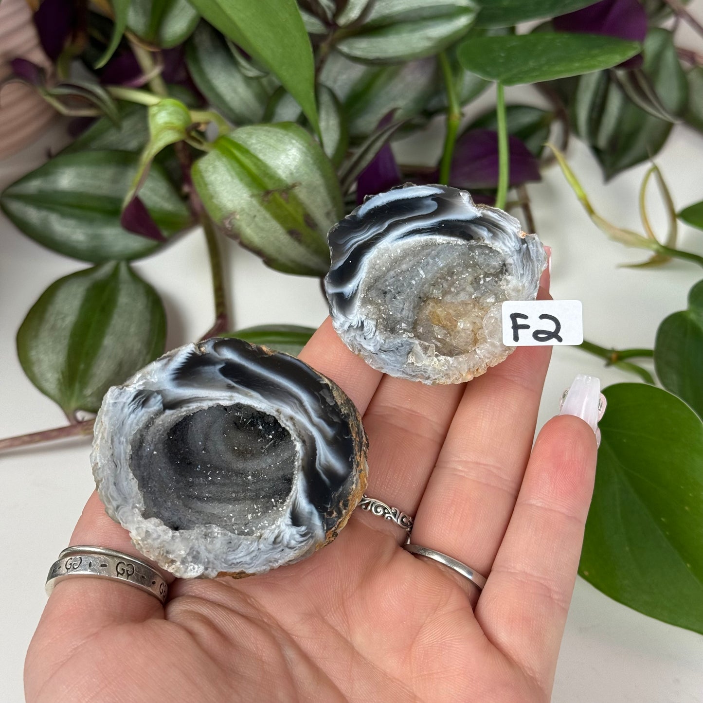 Druzy Agate Geode Pair