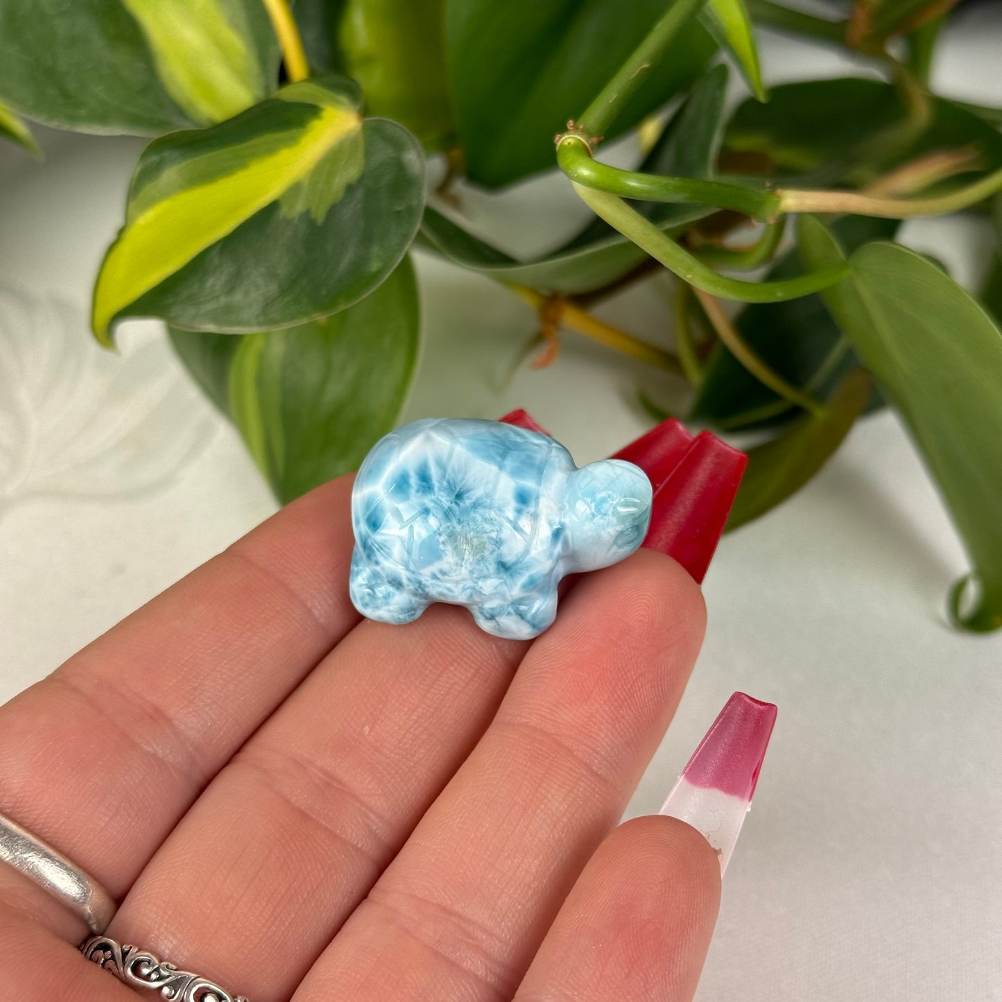 Mini Larimar Turtle