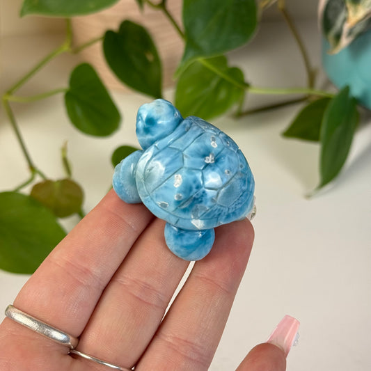 Large Larimar Turtle - M