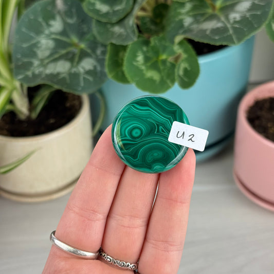 Malachite Cookie - U2