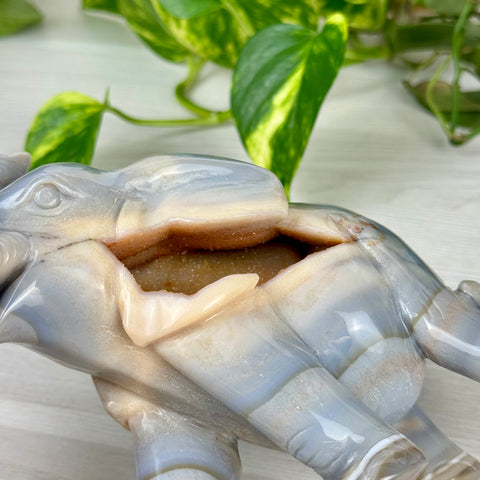 Statement Druzy Agate Elephant - Dahlia