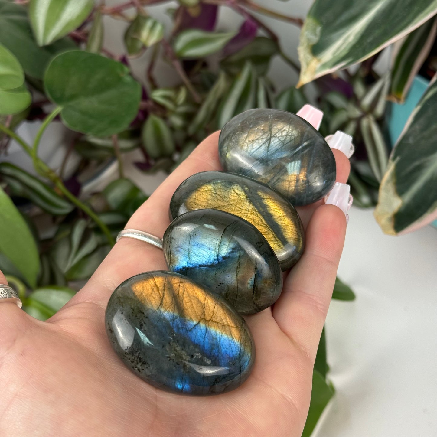 Labradorite Palm Stone