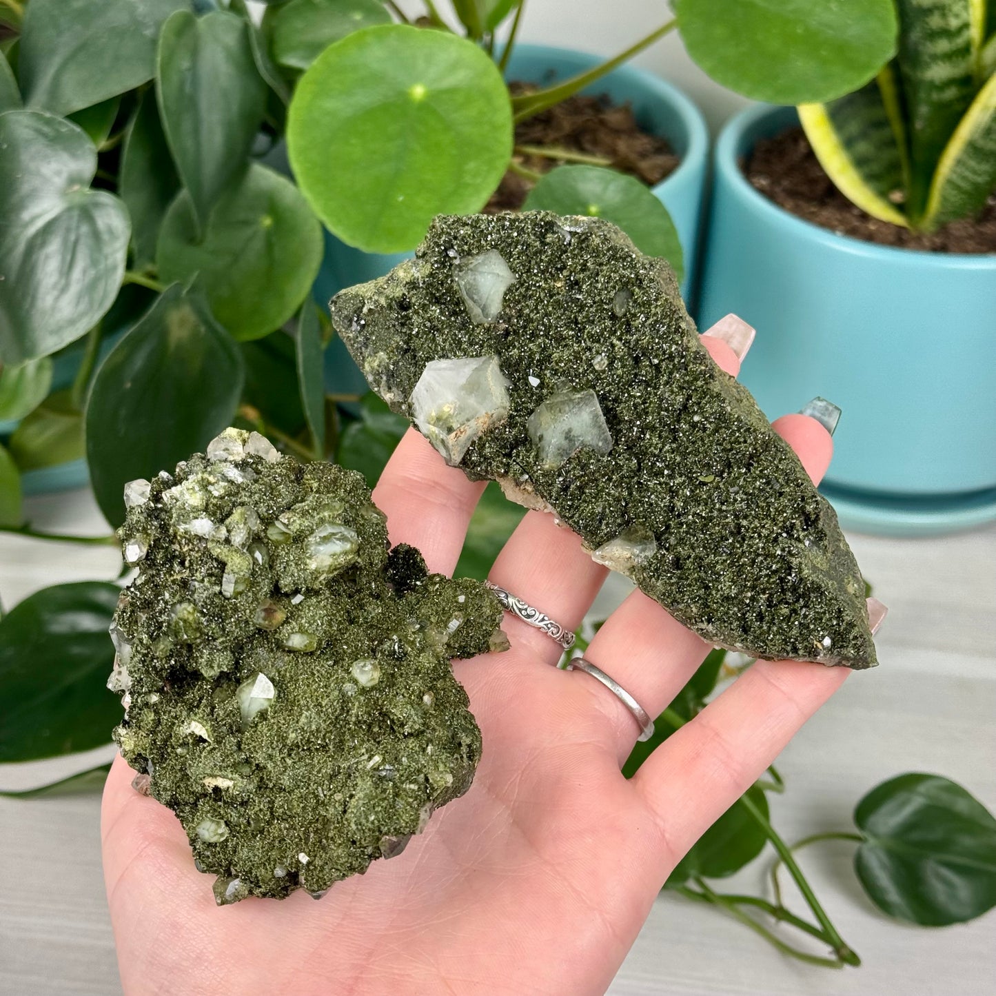Forest Quartz
