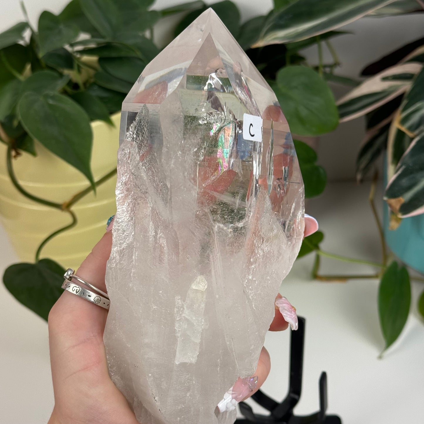 Incredible Lemurian Quartz (W/ Custom Stand) - C