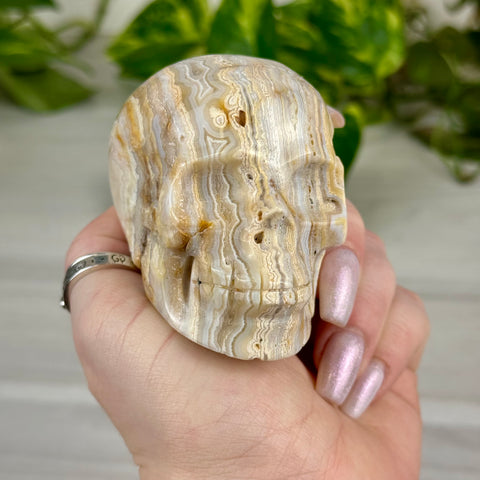 Crazy Lace Agate Skull