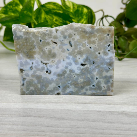 Ocean Jasper Slab