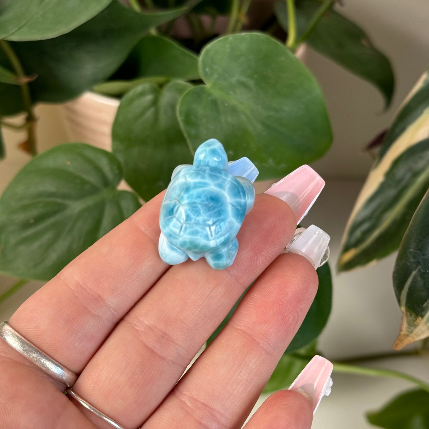 Small Larimar Turtle