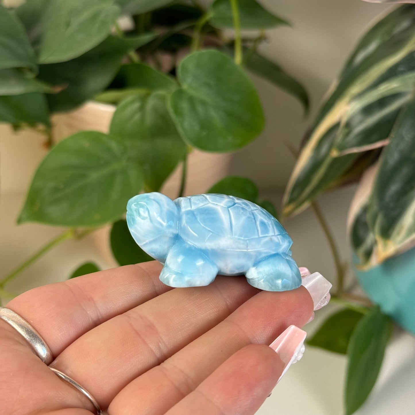 Large Larimar Turtle - L