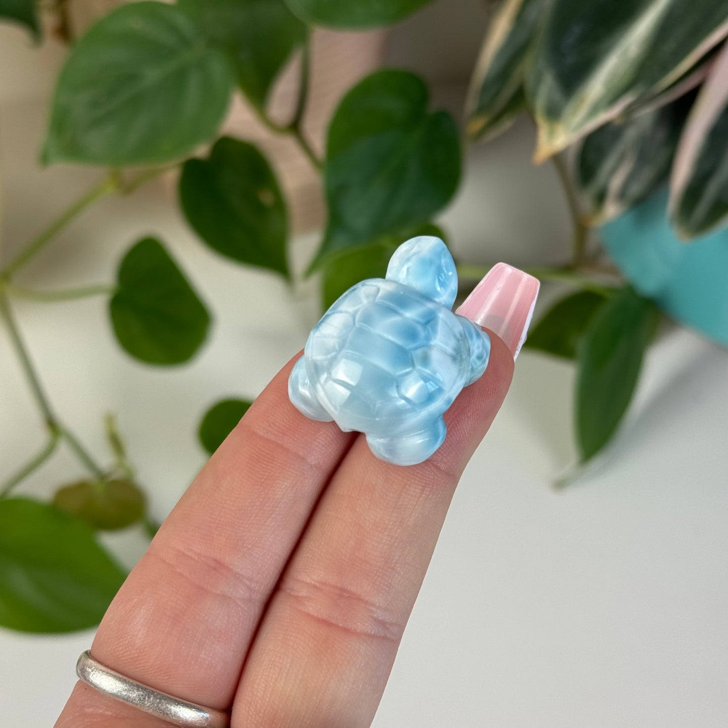 Small Larimar Turtle