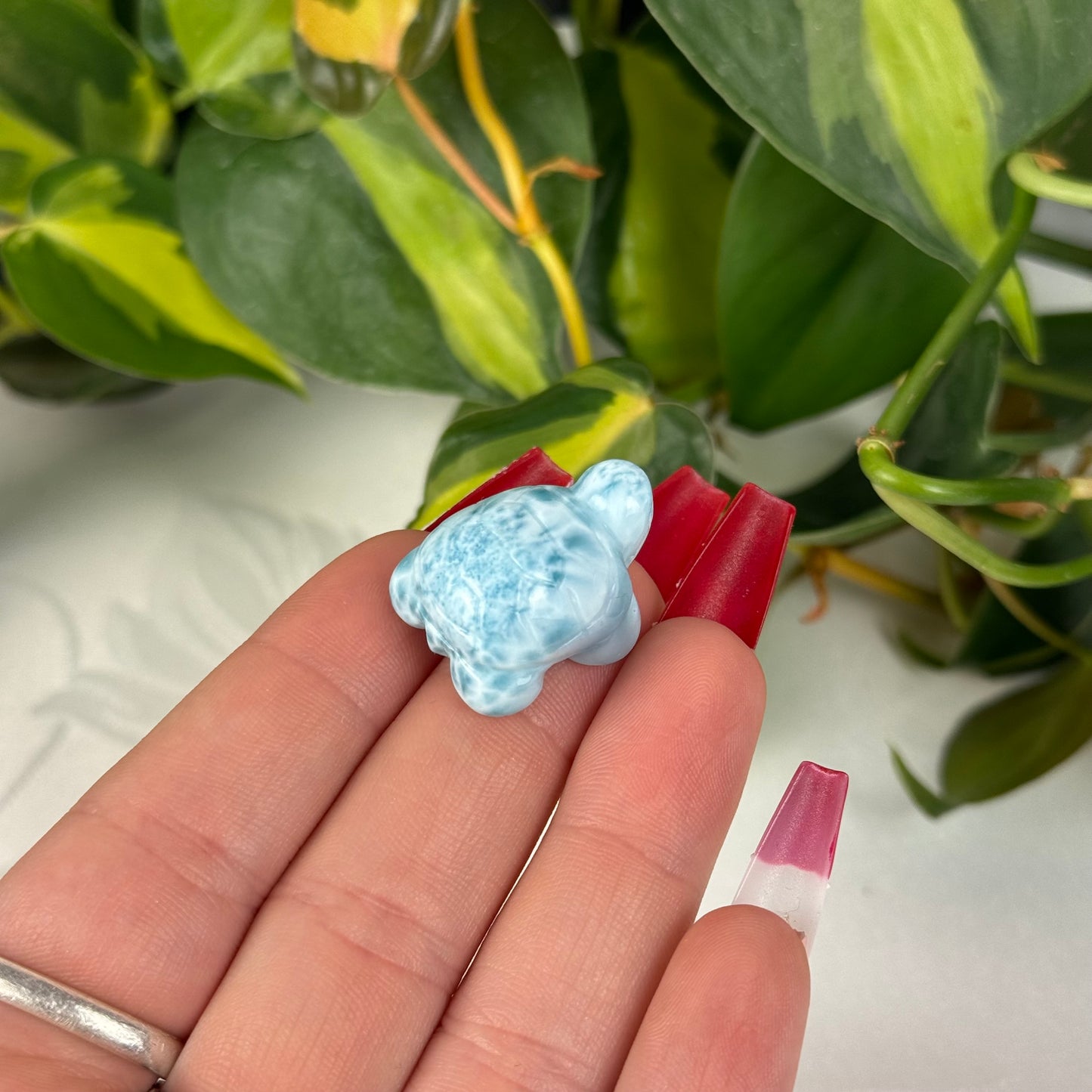 Mini Larimar Turtle