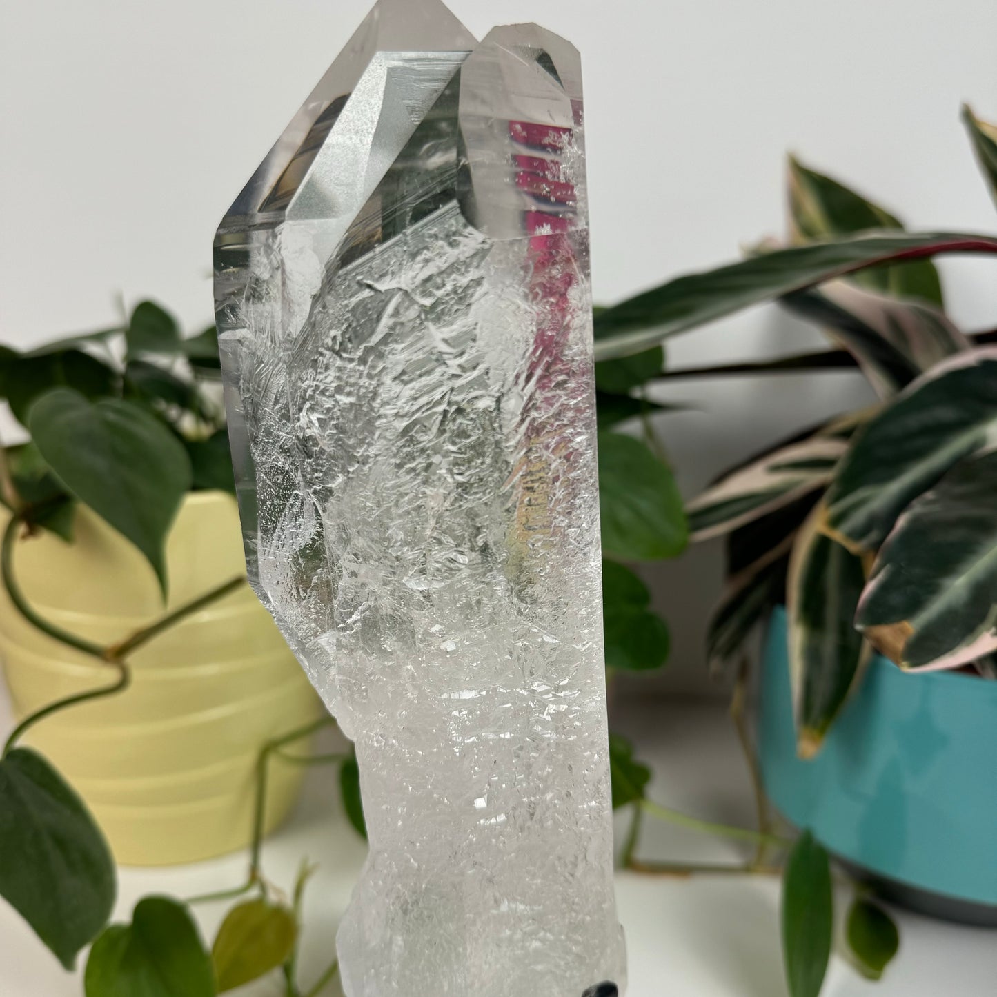 Incredible Lemurian Quartz (W/ Custom Stand) - B