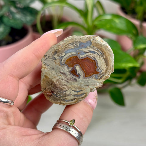 Indi German Agate
