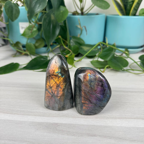 Intuitively Picked Labradorite Free Form