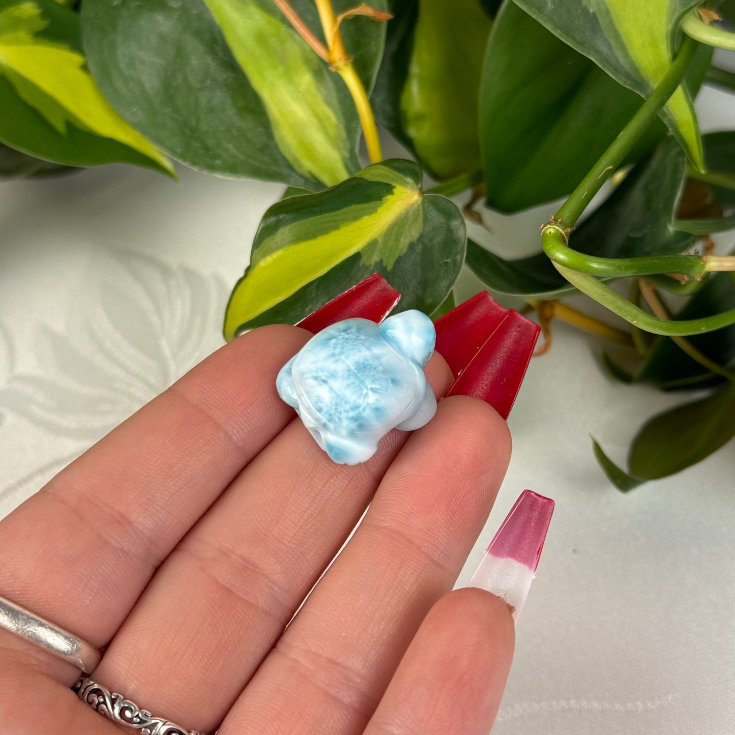 Mini Larimar Turtle