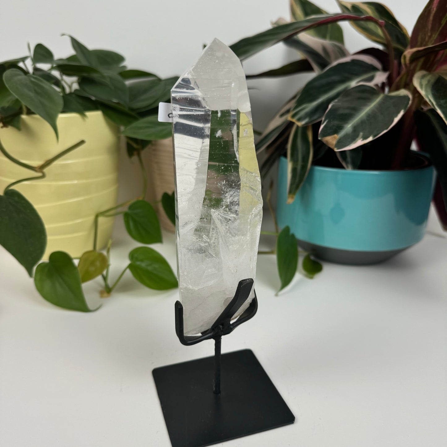 Incredible Lemurian Quartz (W/ Custom Stand) - S