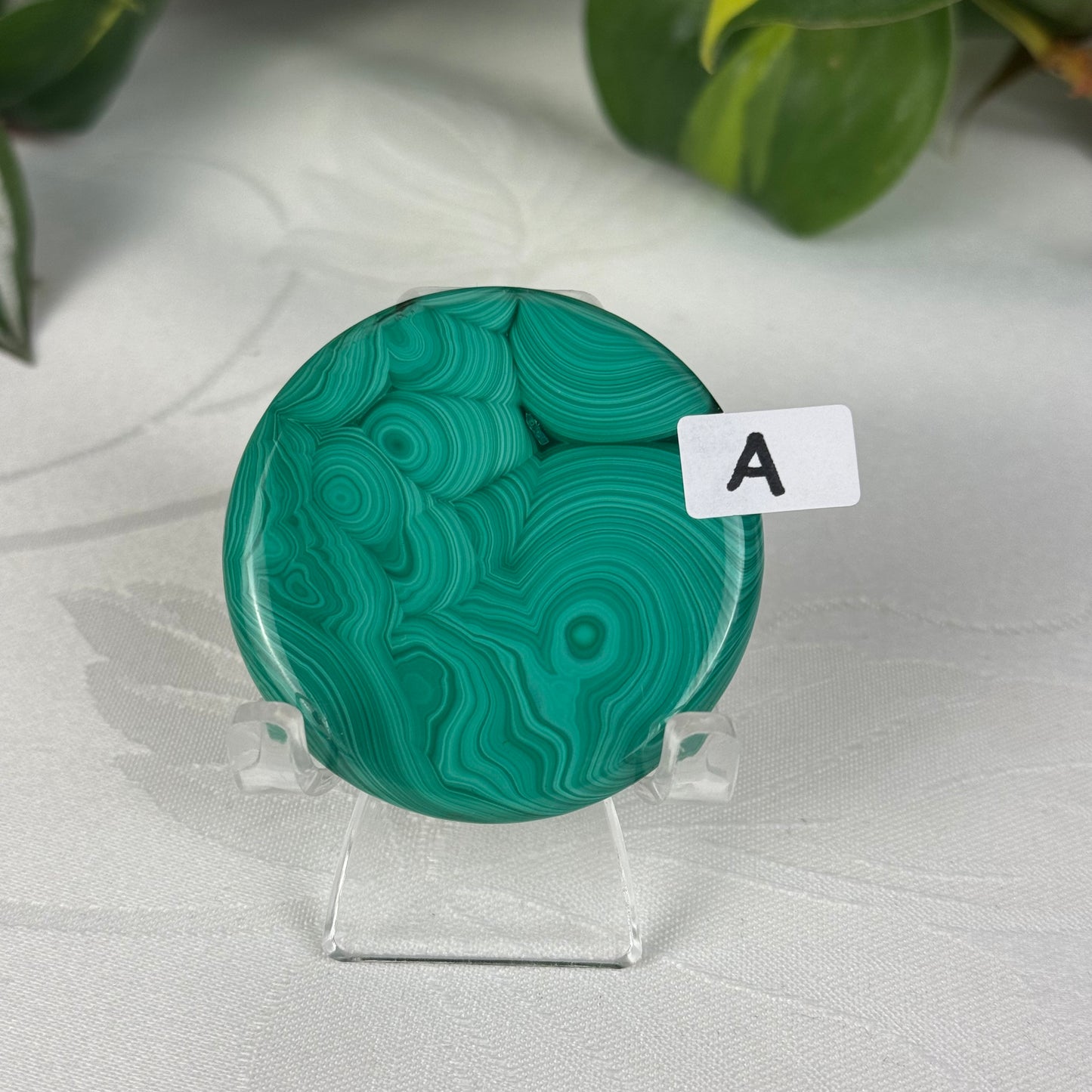 Mini Malachite Cookie