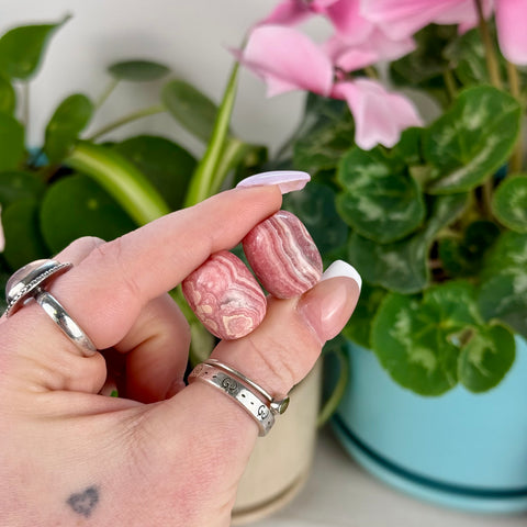 Rhodochrosite Forbidden Jelly Bean