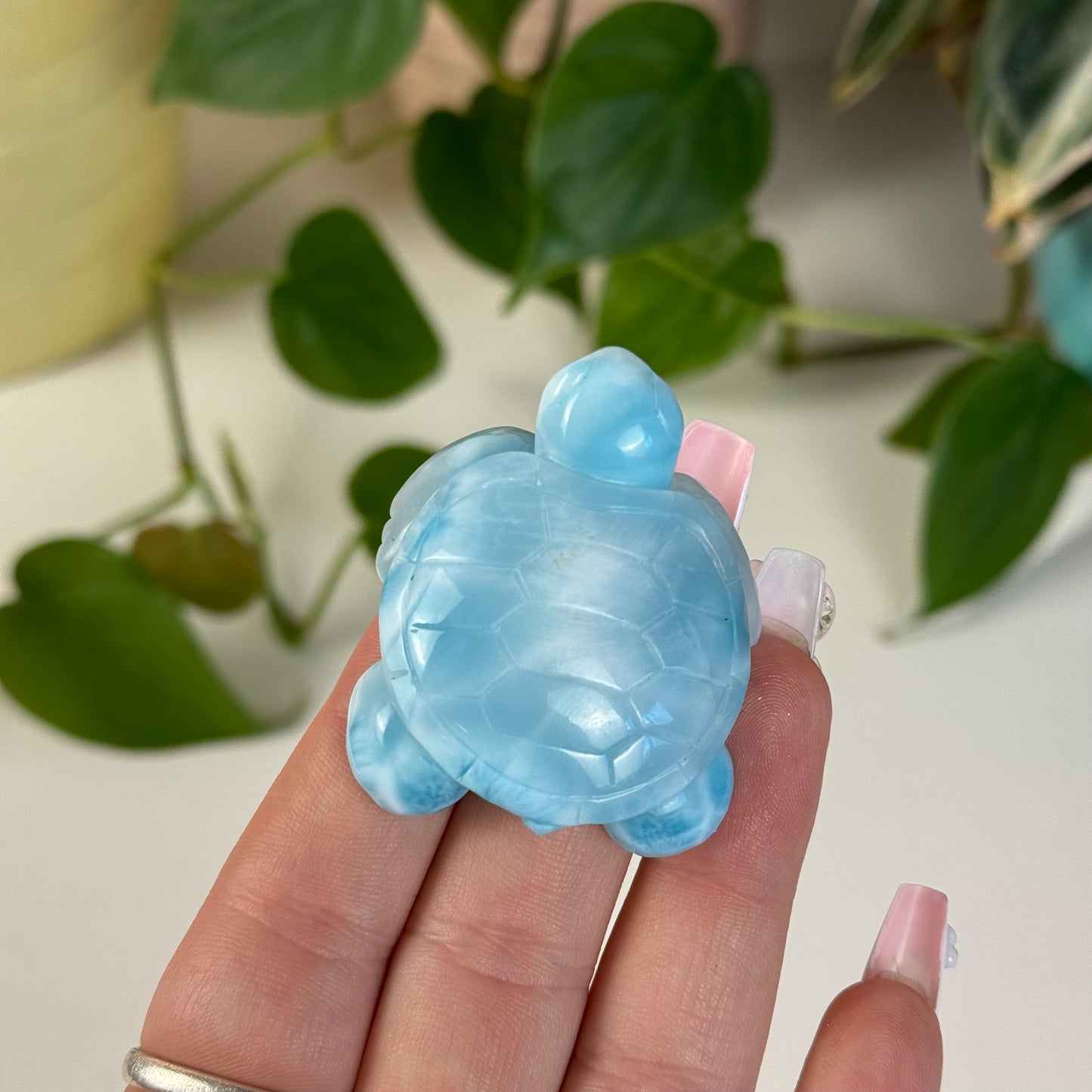 Medium Larimar Turtle