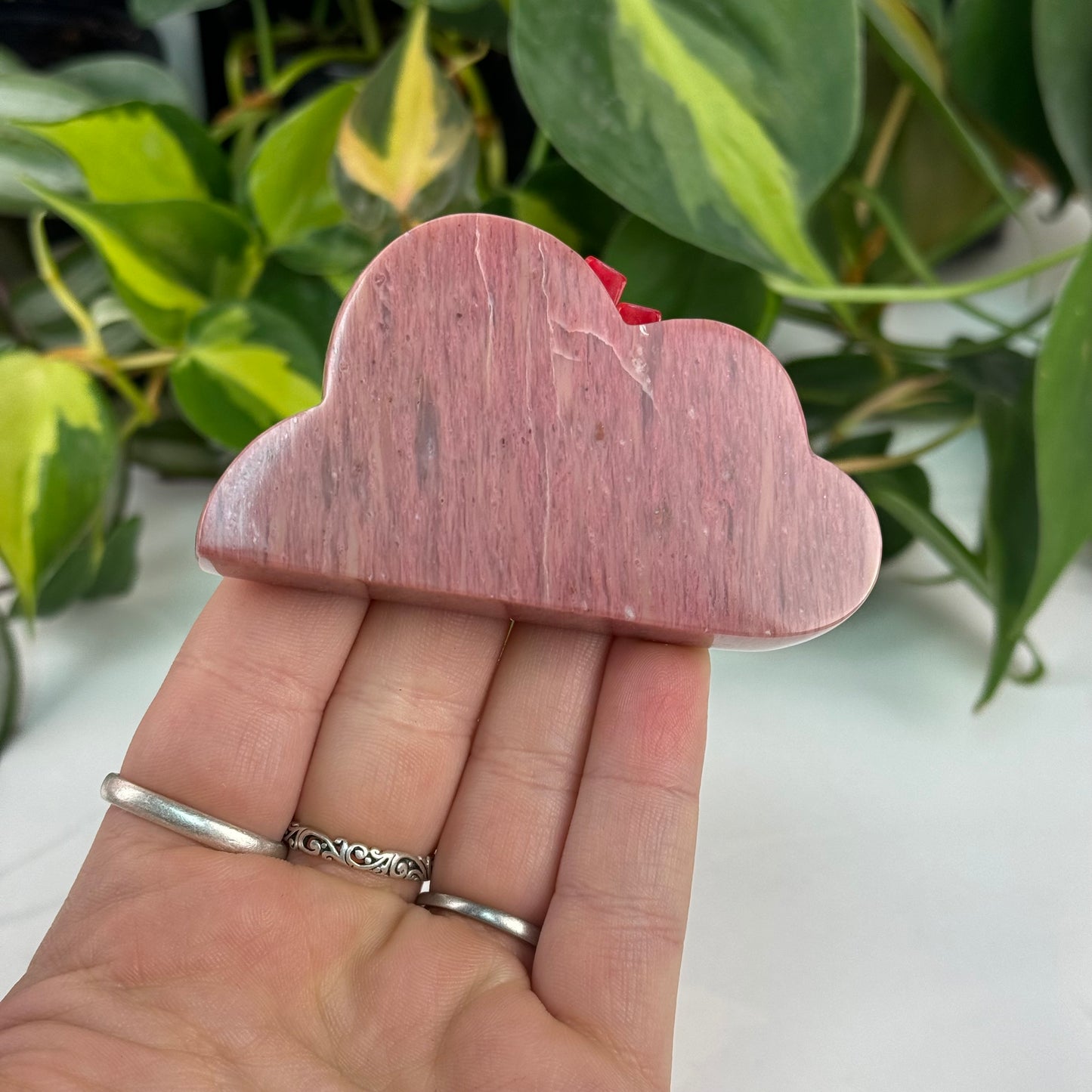 Imperfect Pink Petrified Wood Cloud