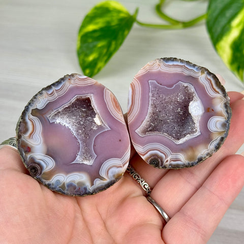 Candy Agate Pairs
